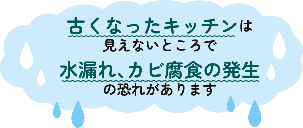 古くさくなったキッチンは見えないところで、水漏れ、カビ腐食の発生の恐れがあります。