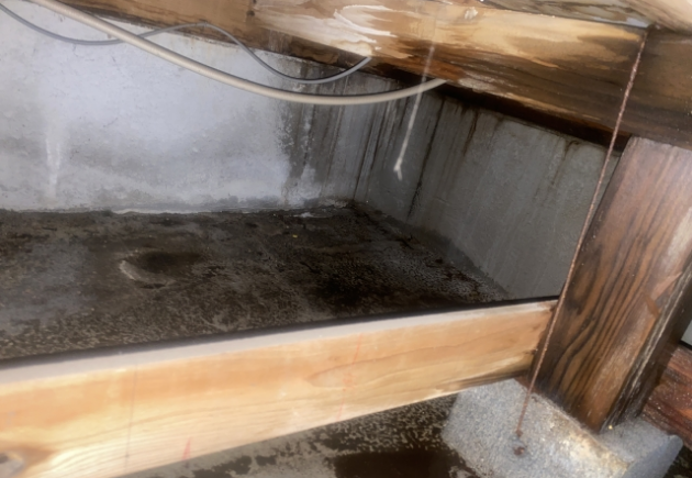 腐食した木の画像